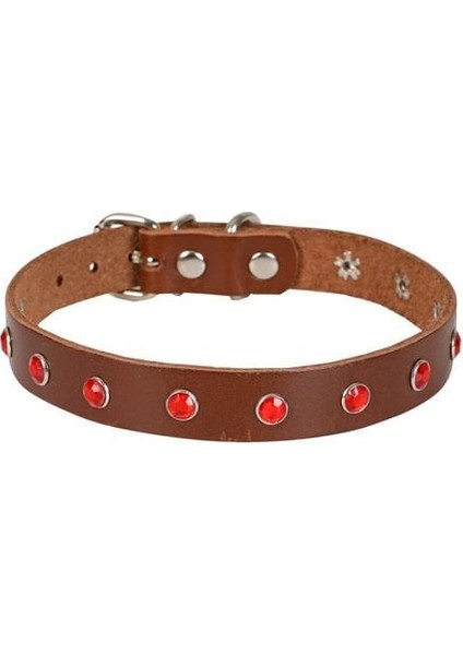 Cattie Gerçek Deriden Taşlı Kedi Boyun Tasması Xlarge Kahverengi 1.5X26-31 cm indirimleri