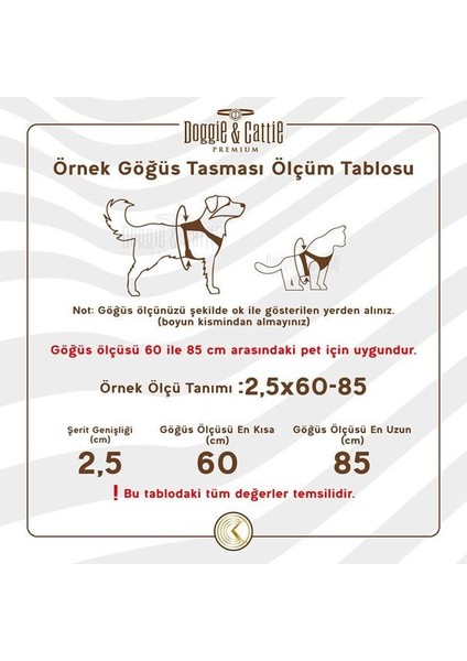 Cattie Havalı Dokuma Kedi Göğüs ve Gezdirme Takımı Small Turuncu 1X20-30 cm modelleri