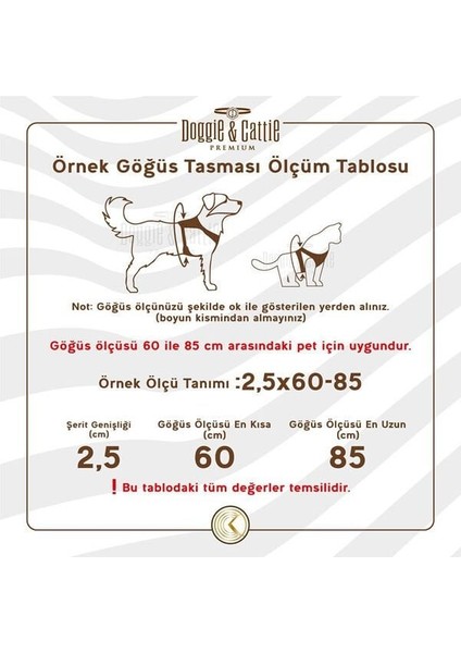 Cattie Havalı Dokuma Kedi Göğüs ve Gezdirme Takımı Large Turuncu 1.5X30-40 cm modelleri
