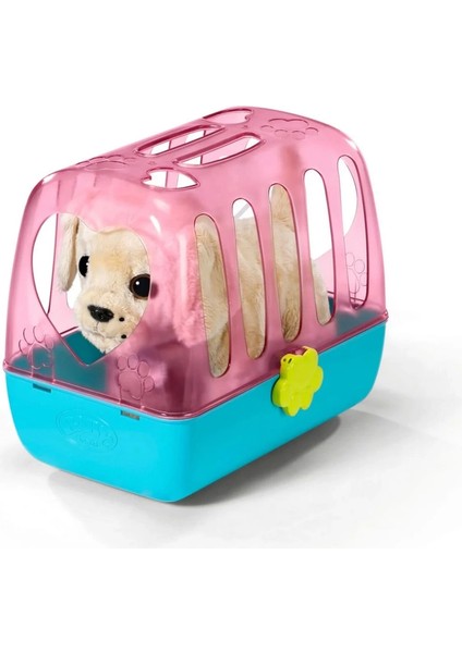 Köpeğim Lucky modelleri