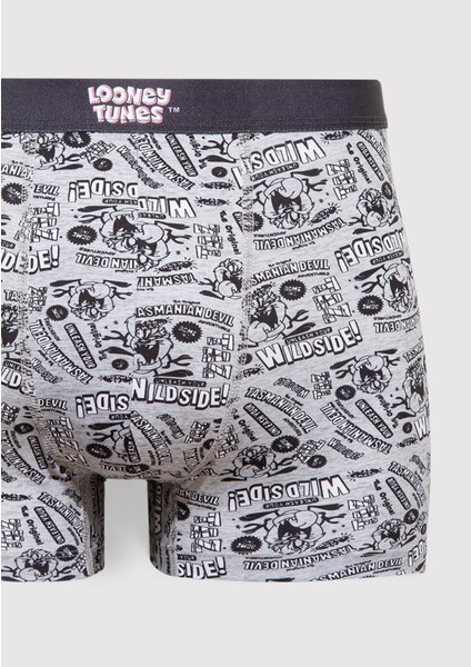 Tazmanya Canavarı Baskılı Gri Boxer 0911983-24386 fiyatları