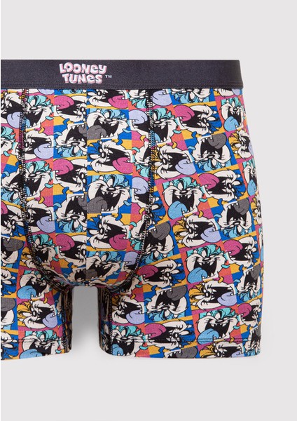 Renkli Boxer 0911984-34621 fiyatları