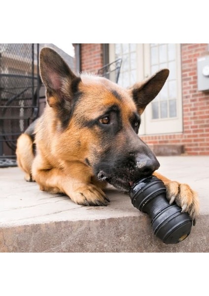 Kong Extreme Dental Diş Temizliği Için Ultra Sert Köpek Oyuncağı Large modelleri