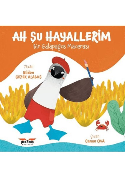Ah Şu Hayallerim