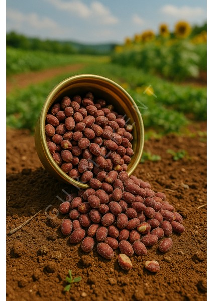 Çifte Kavrulmuş Yer Fıstıgı 500GR