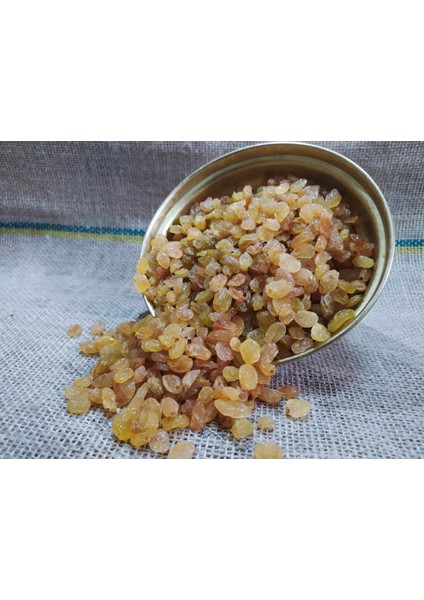 Çekirdeksiz Üzüm 1. Sınıf 500GR