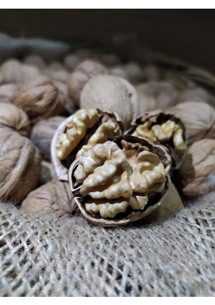 Kabuklu Ceviz 1000GR