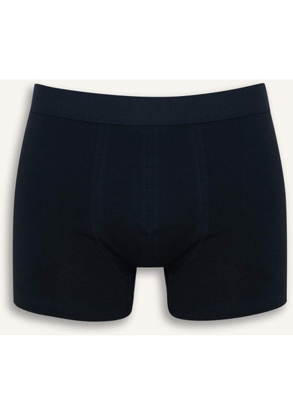 Regular Fit Puantiye 3'lü Boxer F9031AX25AU