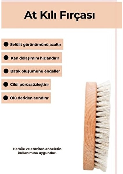 The Touch Anti-Selülit Kremi ve At Kılı Fırçası 250 ml Kadınlar İçin Vücut Bakım Seti