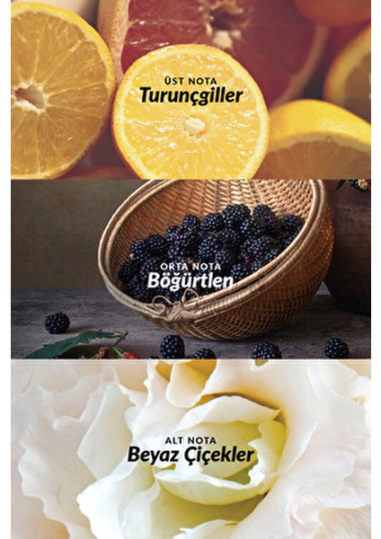 Luck Kadın Vücut Losyonu 125 ml Oryantal ve Çiçeksi Koku ile Nemlendirici Etki fiyatları