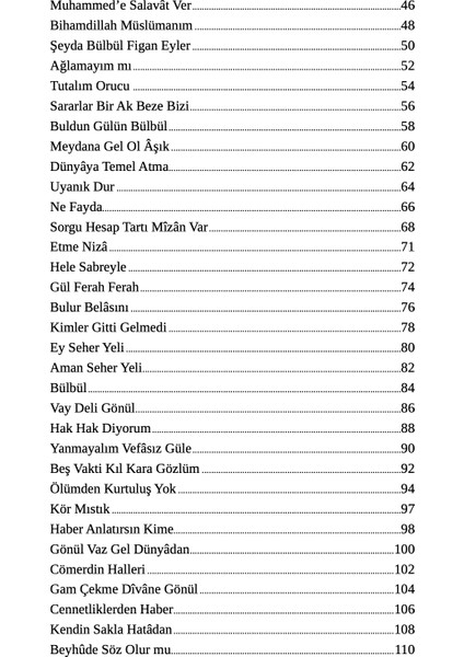 Aşık Ruhsati - Ali Yılmaz, Bilge İlhan modelleri