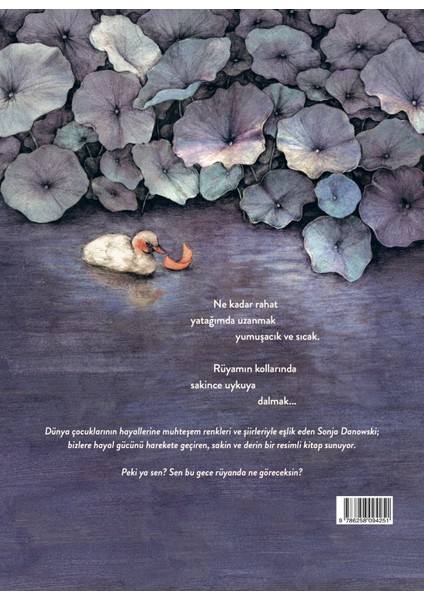 Çocukların Rüyaları - Sonja Danowski fiyatları