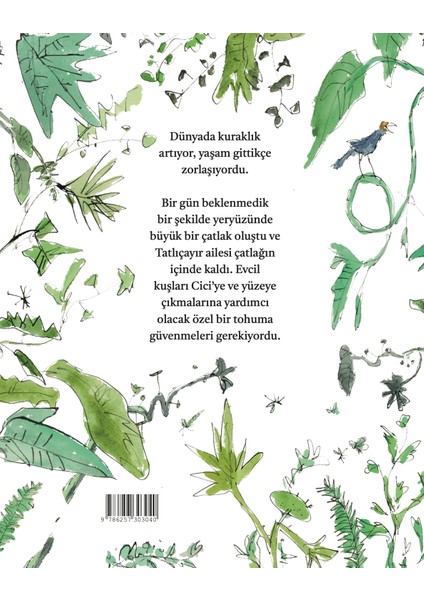 Tatlıçayırlar - Quentin Blake fiyatları