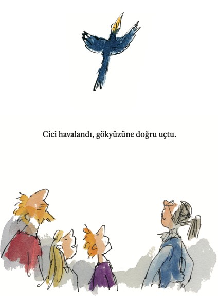Tatlıçayırlar - Quentin Blake