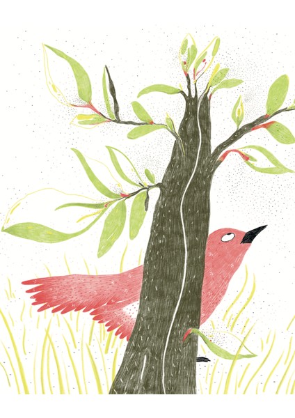 Ağaç Dedi Ki - Sophie Lescaut indirimleri