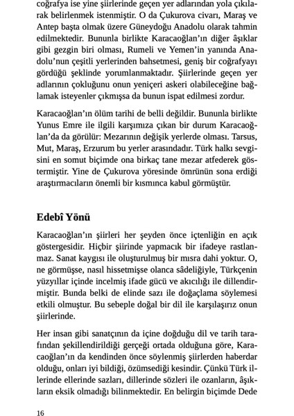 Hattat Elmalılı Muhammed Hamdi Yazır (Ciltli) - Kenan Özçelik