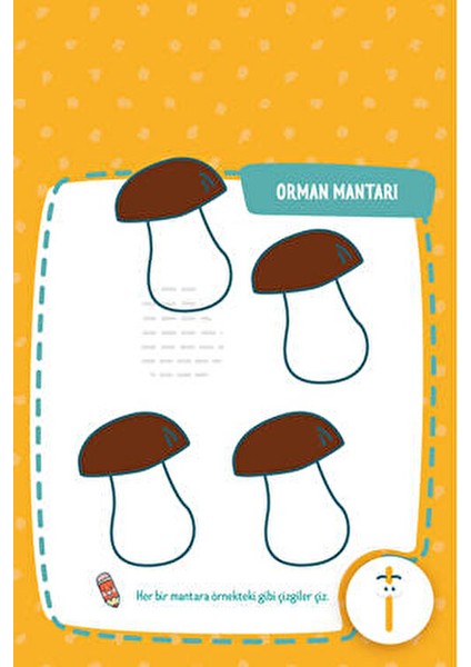 Dikkat Atölyesi Eğitici Çizgiler Etkinlik Kitabı 2-4 Yaş için Okul Öncesi Eğitici Kitap