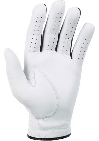 6202E Players Flex Erkek Golf Eldiveni Inci Sağ Xl modelleri