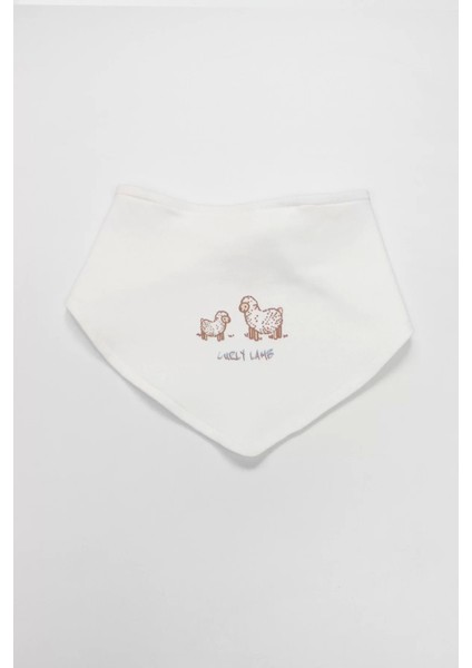 Bistyle Curly Lamb 10'lu Hastane Çıkışı 11106 Bej Mavi Ekru indirimleri