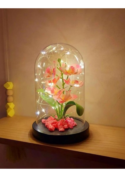 Çiçekli Fanus LED Işıklı Orkide