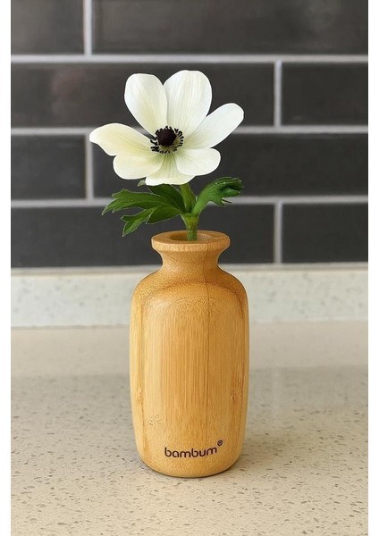 Lodi - Bambu Vazo 9,6*4,9cm fiyatları