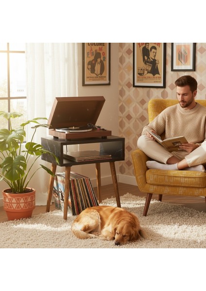 Royal Plak ve Pikap Çalar Sehpası Siyah Mermer Desenli modelleri