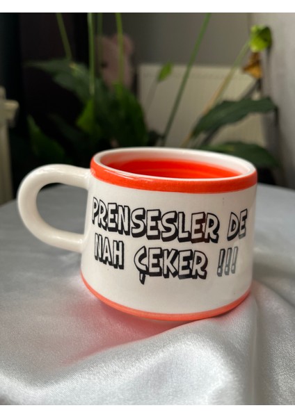 Prensesler De Nah Çeker ! Renkli Kupa - Hediyelik Kupa Fincanı