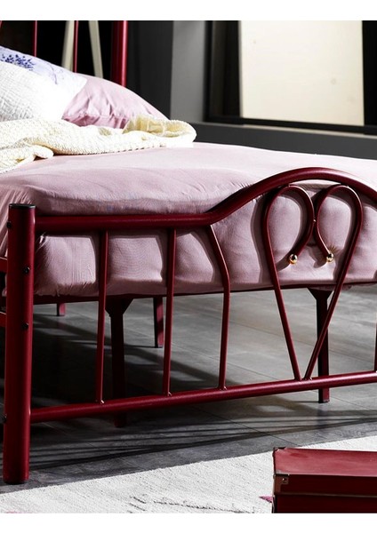 Argimo Orkide Çift Kişilik Ferforje Metal Karyola modelleri