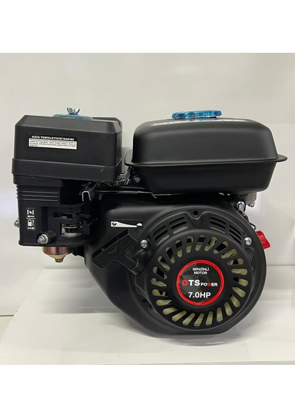 Dts 210 Benzinli Motor 7 Hp Euro5