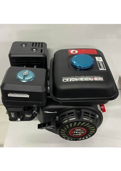 Dts 210 Benzinli Motor 7 Hp Euro5 fiyatları
