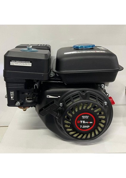 Dts 210 Benzinli Motor 7 Hp Euro5 fırsatları