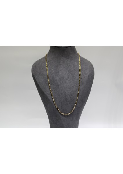 14 Ayar Altın Halkalı Kolye Zincir fiyatları