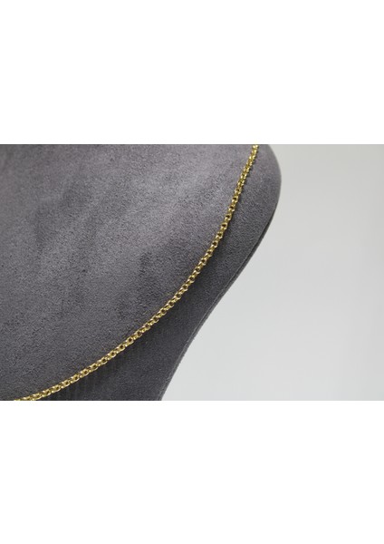 14 Ayar Altın Halkalı Kolye Zincir indirimleri