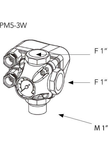 Pm 5-3W (Basınç Şalteri + Manometre + 5 Yollu)