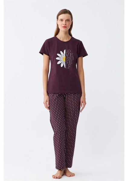 Moda Kadın Mürdüm Papatya Baskılı Kısa Kollu Penye Pijama Takımı