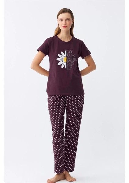 Moda Kadın Mürdüm Papatya Baskılı Kısa Kollu Penye Pijama Takımı fiyatları