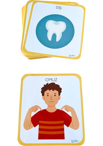 Organ Kartları/ Yüz Bölümleri/ Okulöncesi, Özel Eğitim modelleri