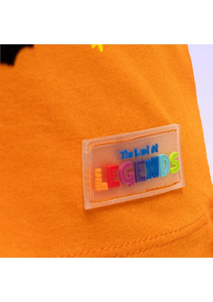 paw Patrol Erkek Çocuk Legendary Halloween Turuncu Tişört fırsatları