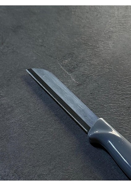 P-Design Solingen Simli Delikli Gümüş Renk 6’lı Meyve Bıçağı Seti fırsatları