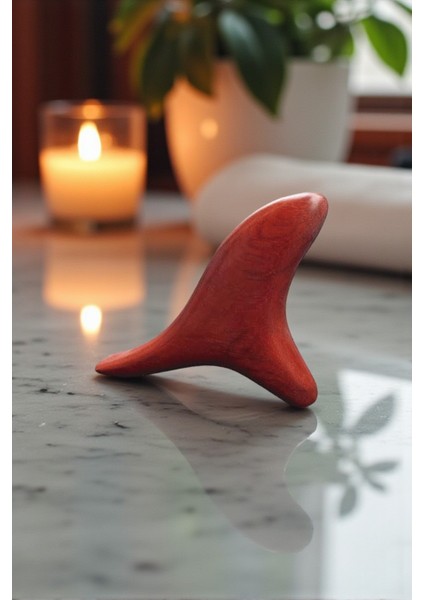 Ahşap Refleksoloji & Güzellik Masaj Aleti – Yüz, El, Ayak, Sırt ve Boyun İçin Rahatlatıcı Terapi fiyatları