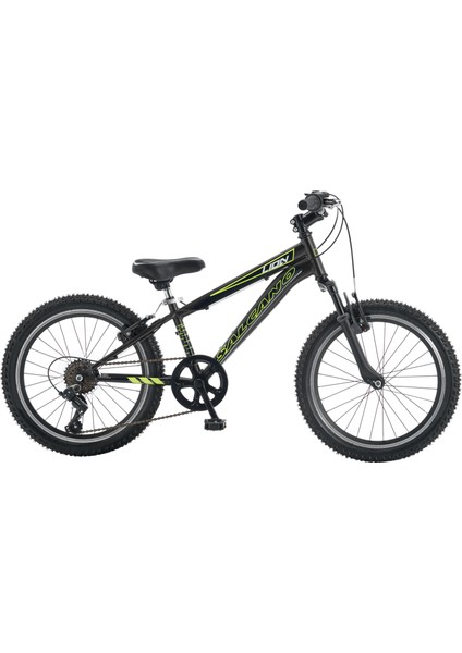 Lion 20 Jant Vitesli Erkek Çocuk Bisikleti (120-145 cm Boy)