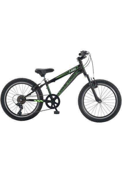 Lion 20 Jant Vitesli Erkek Çocuk Bisikleti (120-145 cm Boy)
