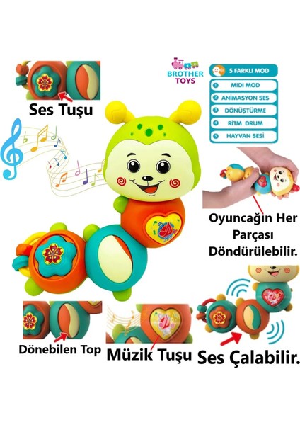 Sesli Işıklı Müzikli Eğitici Çok Fonksiyonlu Bebek ve Çocuklar Için Tırtıl Piyano 15 Cm.