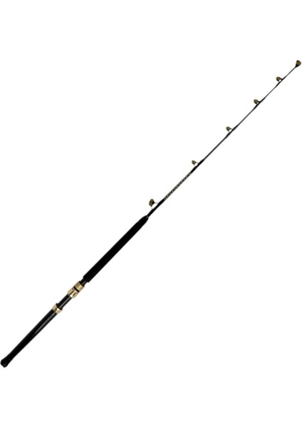 Stand Up Roller 5"6 30-50 Lb