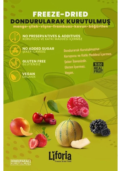 6’lı Dondurulmuş Meyve - Sağlıklı Atıştırmalık - Mango Çilek Vişne Frambuaz Kavun Böğürtlen fiyatları