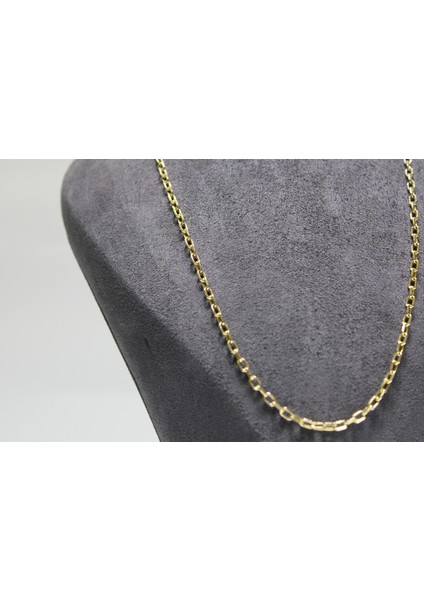 14 Ayar Altın Halkalı Kolye Zincir modelleri