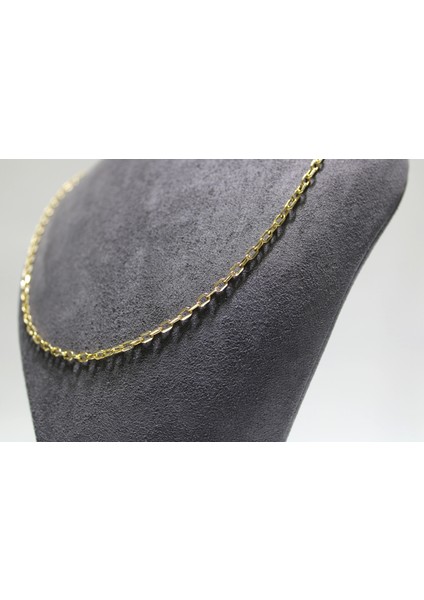 14 Ayar Altın Halkalı Kolye Zincir