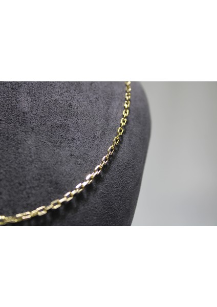 14 Ayar Altın Halkalı Kolye Zincir