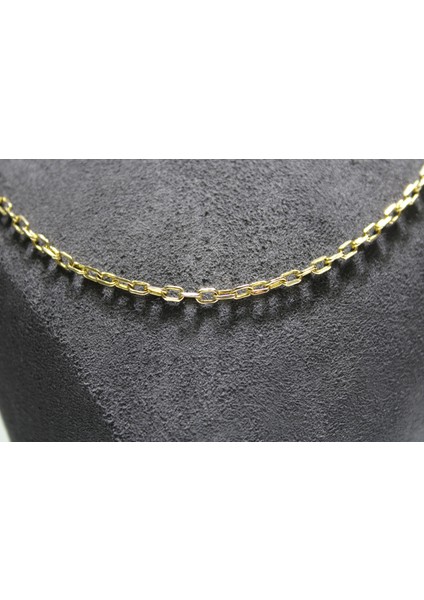 14 Ayar Altın Halkalı Kolye Zincir