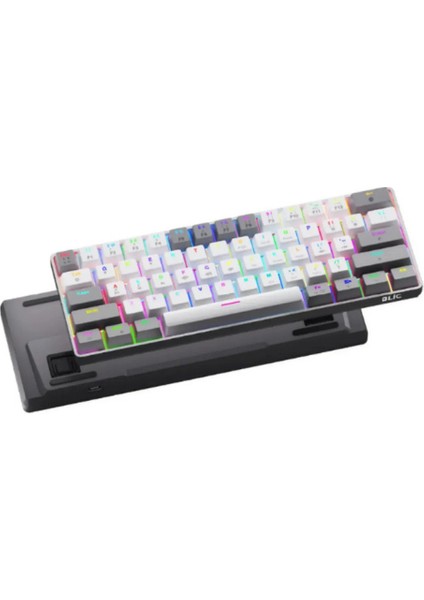 Gaming Oyuncu Klavyesi Mekanik Max Pro Türkçe Q Mini Rgb Red Switch App Uygulamalı T60 Max Pro fiyatları